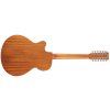 TANGLEWOOD TR412CE