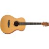 TANGLEWOOD TR8E
