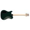 PRS Myles Kennedy Hunters Green