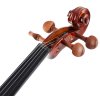 BACIO INSTRUMENTS Student Violin (GV103F) 3/4