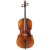 BACIO INSTRUMENTS Basic Cello (GC102F) 4/4