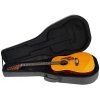 TANGLEWOOD TW4012SDANE PG