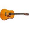 TANGLEWOOD TW4012SDANE PG