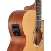 TANGLEWOOD TR4CE