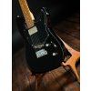 GODIN 2013 Session Custom BK