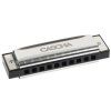 CASCHA Blues Series A-major