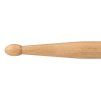 CASCHA Drumsticks 5B Maple