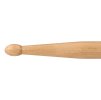 CASCHA Drumsticks 5B Maple