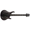 PRS SE Chleo Charcoal Purple Burst