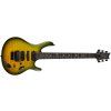 PRS SE Chleo Mantis Burst