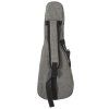 CASCHA HH 2036 CZ Concert Mahogany Ukulele Bundle