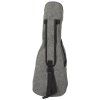 CASCHA HH 2036 Concert Mahogany Ukulele Bundle