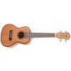 CASCHA HH 2036 Concert Mahogany Ukulele Bundle