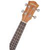 CASCHA HH 2036 Concert Mahogany Ukulele Bundle