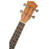 CASCHA HH 2048 Tenor Mahogany Ukulele Set