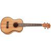 CASCHA HH 2048E Tenor Mahogany Ukulele Set EQ