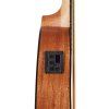 CASCHA HH 2175 Bass Mahogany Ukulele