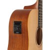 TANGLEWOOD TR5E