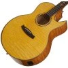 TANGLEWOOD TWX6CE SMF