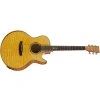 TANGLEWOOD TWX6CE SMF