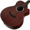 TANGLEWOOD TE4CE BL
