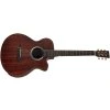 TANGLEWOOD TE4CE BL