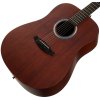 TANGLEWOOD TE5 BL