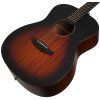TANGLEWOOD TC3