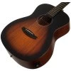 TANGLEWOOD TC3E