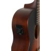 TANGLEWOOD TC3E