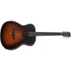 TANGLEWOOD TC3E