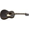 PRS SE P20 Parlor Dog Hair 2026