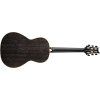 PRS SE P20 Parlor Dog Hair 2026