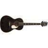 PRS SE P20 Parlor Dog Hair 2026