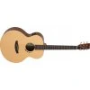 TANGLEWOOD TM3E