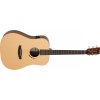 TANGLEWOOD TM5E