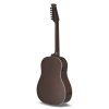 Applause E – akustická 12-str. gitara