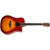 TANGLEWOOD TW5 CE SB (rozbalené)