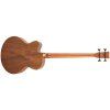 TANGLEWOOD TRAB BW (rozbalené)