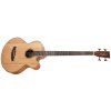 TANGLEWOOD TRAB BW (rozbalené)