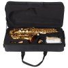 BACIO INSTRUMENTS BSS-100C (rozbalené)