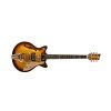 Duesenberg Joe Walsh Goldburst 01 20260506 132245
