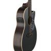 Applause E – akustická 6-str. gitara