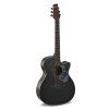 Applause E – akustická 6-str. gitara