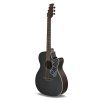 Applause E – akustická 6-str. gitara