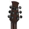 Applause E – akustická 6-str. gitara