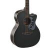 Applause E – akustická 6-str. gitara