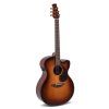 Applause E – akustická 6-str. gitara Classics AEJ96-1