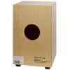 GECKO CL10OV