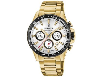 Hodinky Festina 20634 1